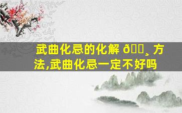 武曲化忌的化解 🕸 方法,武曲化忌一定不好吗
